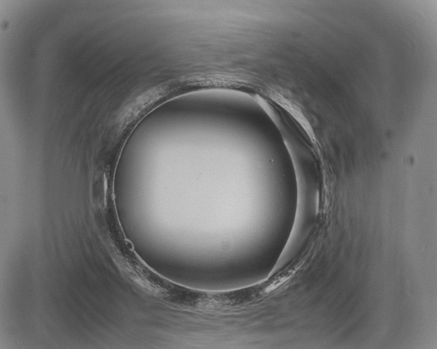 X0000085210109200703161229