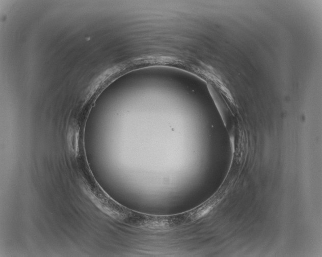 X0000085210110200703161229