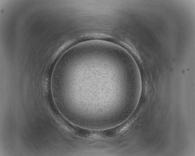 X0000085210111200703161229