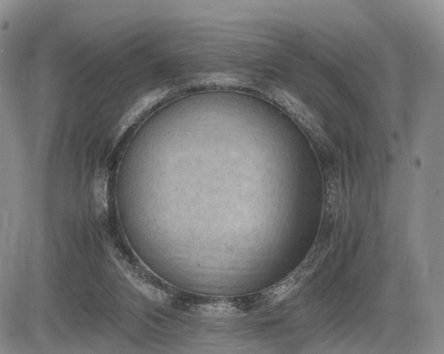 X0000085210112200703161229