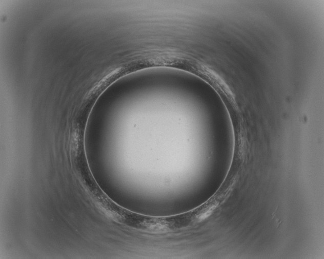 X0000085210113200703161229