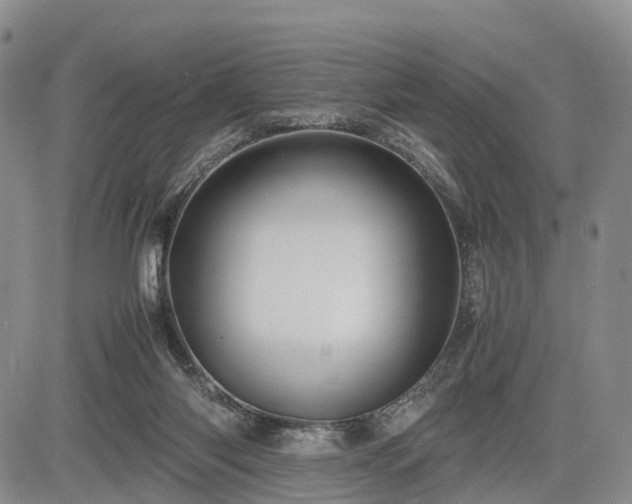 X0000085210118200703161229