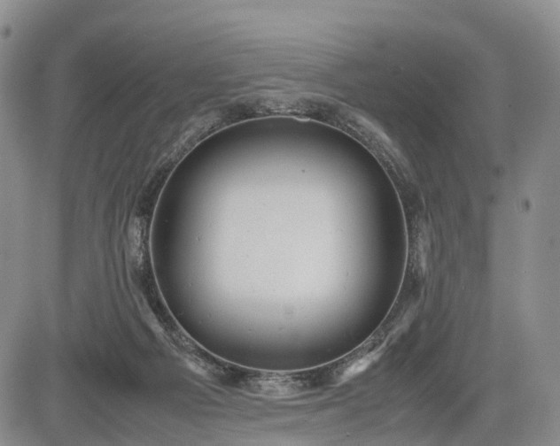 X0000085210121200703161229