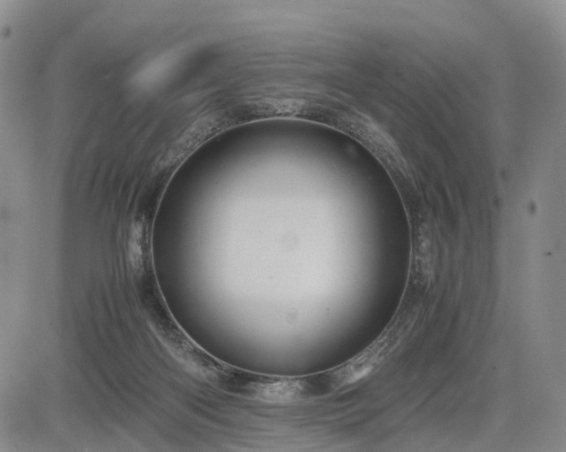 X0000085210122200703161229