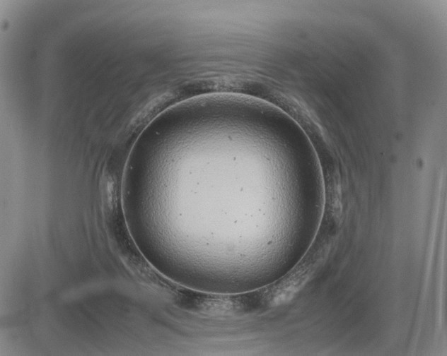 X0000085210123200703161229