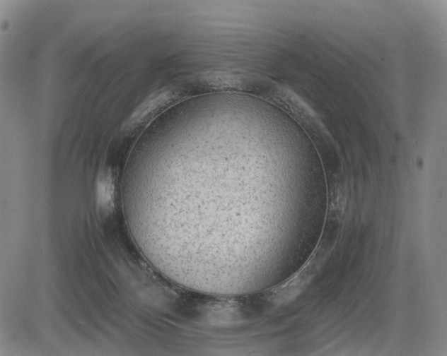 X0000085210124200703161229