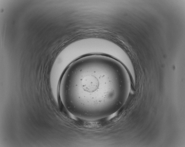 X0000085210125200703161229