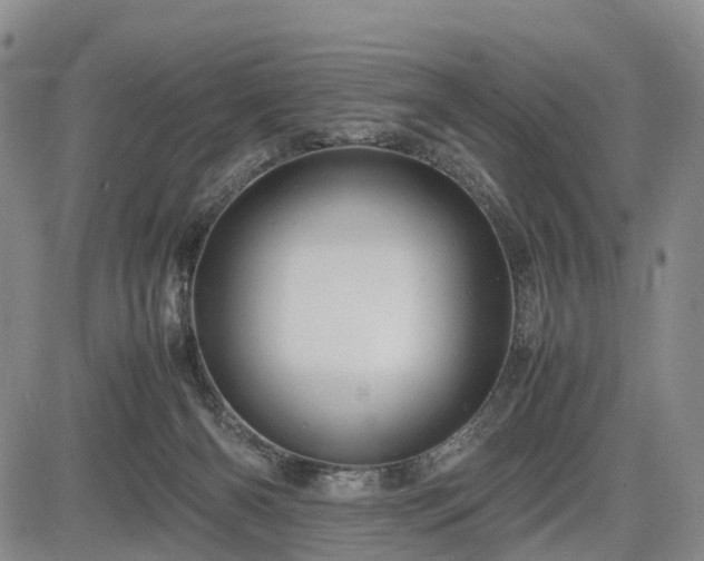 X0000085210126200703161229