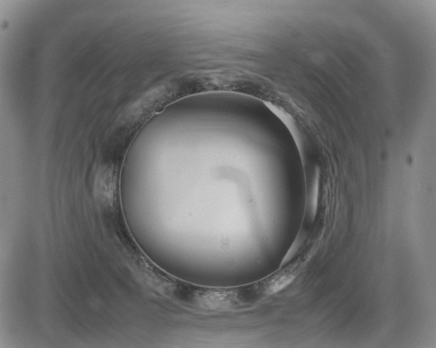 X0000085210129200703161229