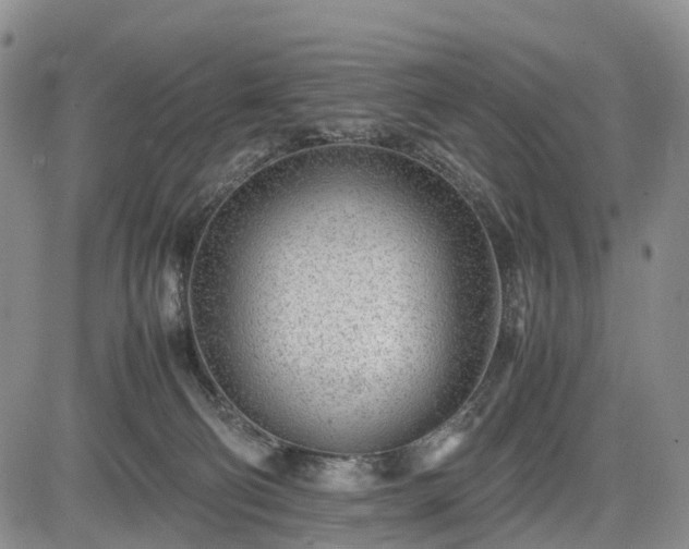 X0000085210130200703161229