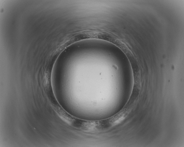 X0000085210131200703161229