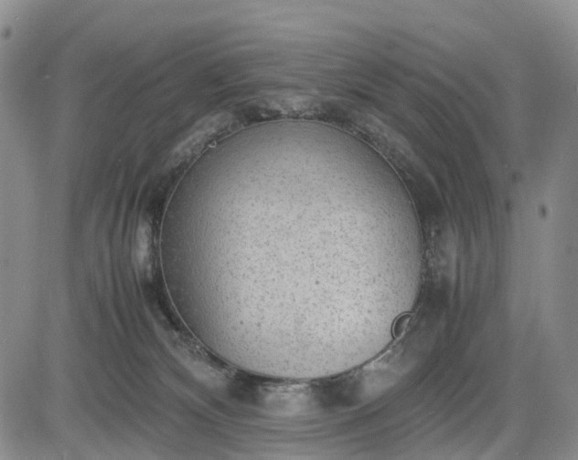 X0000085210132200703161229