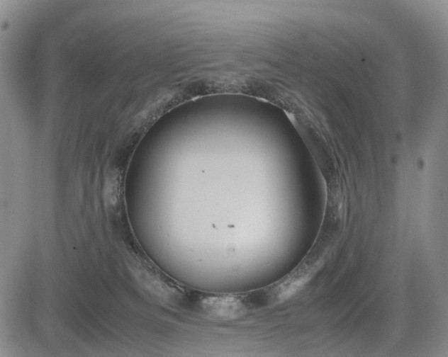 X0000085210133200703161229