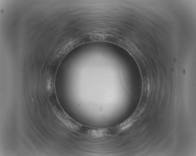 X0000085210134200703161229