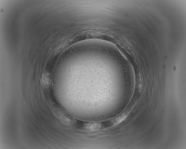 X0000085210135200703161229