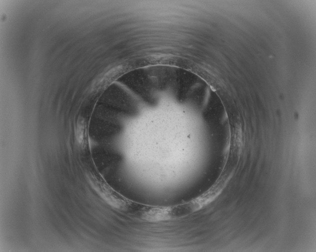 X0000085210138200703161229