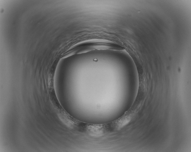 X0000085210139200703161229