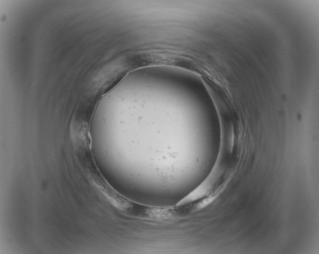 X0000085210141200703161229