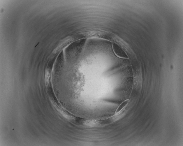 X0000085210142200703161229