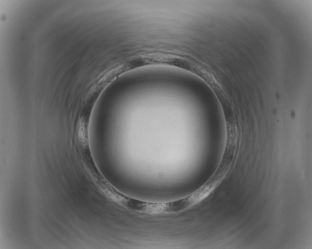 X0000085210143200703161229