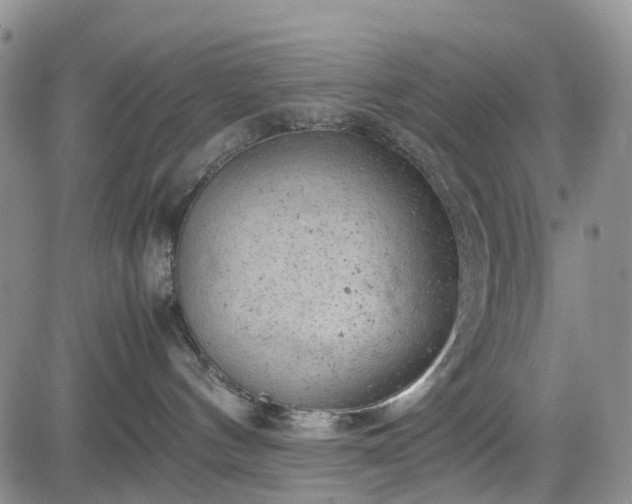 X0000085210144200703161229