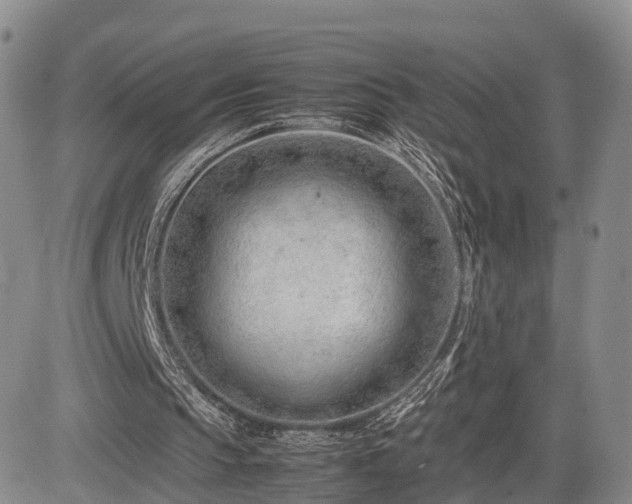 X0000085210145200703161228