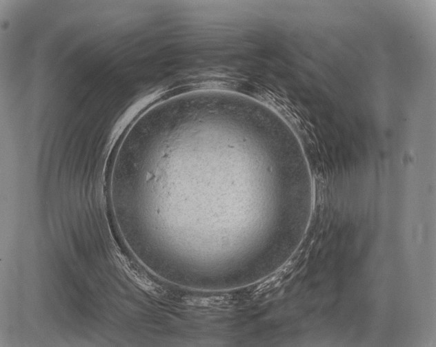 X0000085210147200703161228