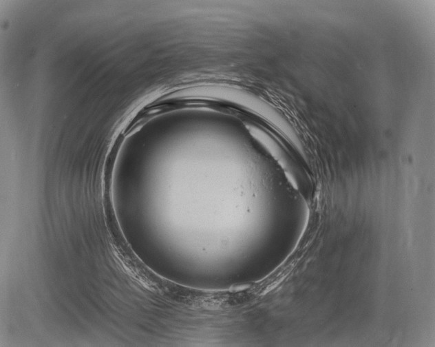 X0000085210148200703161228