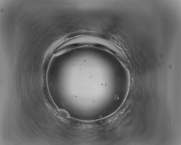 X0000085210149200703161228