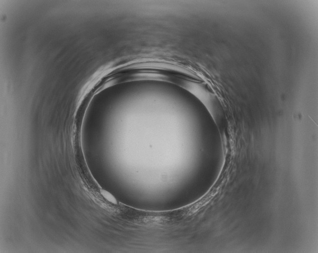 X0000085210152200703161228