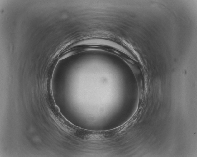 X0000085210154200703161228