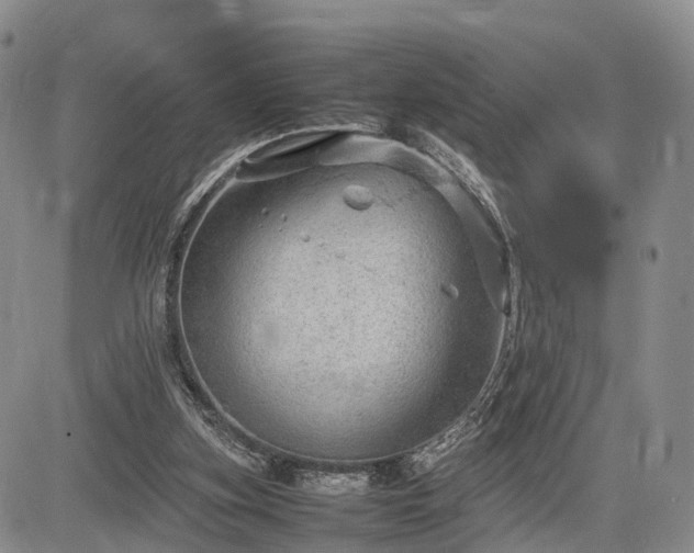 X0000085210155200703161228