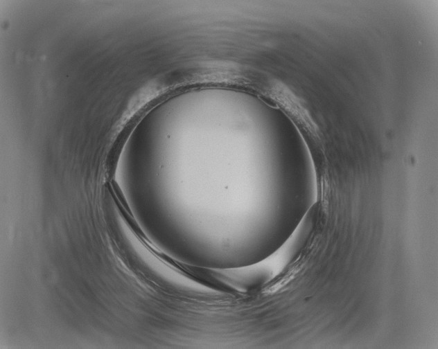 X0000085210156200703161228