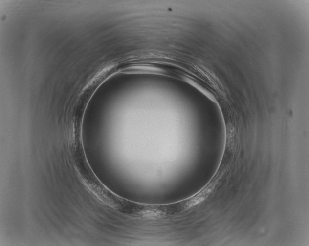 X0000085210158200703161228