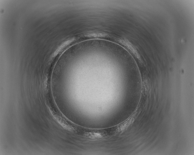 X0000085210159200703161228