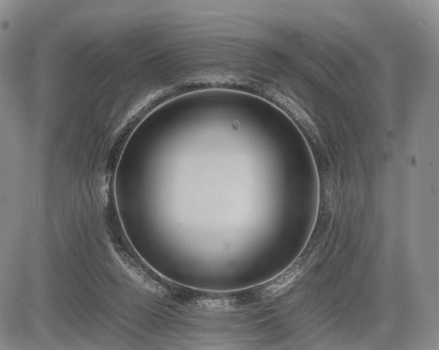 X0000085210160200703161228