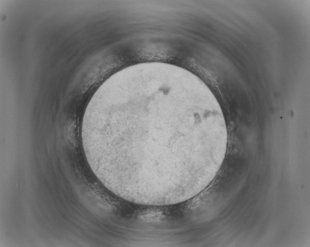 X0000085210162200703161228