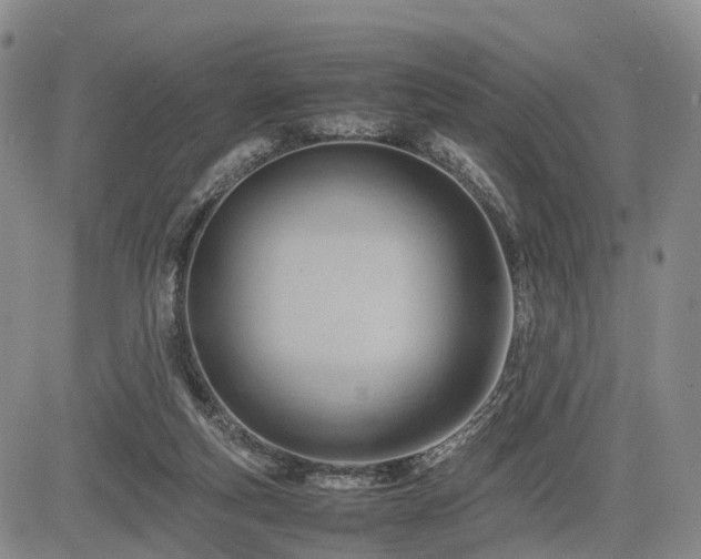 X0000085210163200703161228