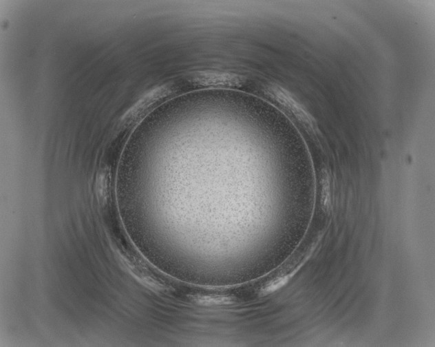 X0000085210165200703161228