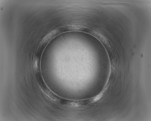 X0000085210166200703161228