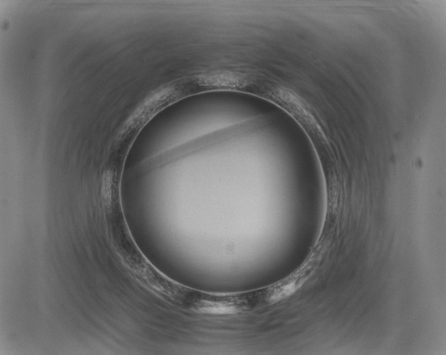 X0000085210167200703161228