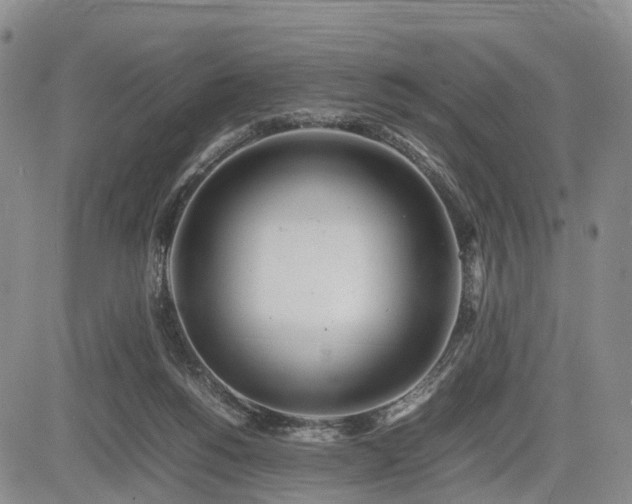 X0000085210168200703161228