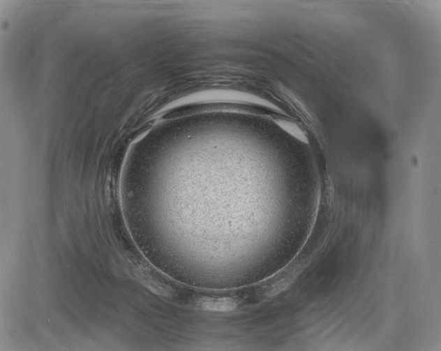 X0000085210169200703161228