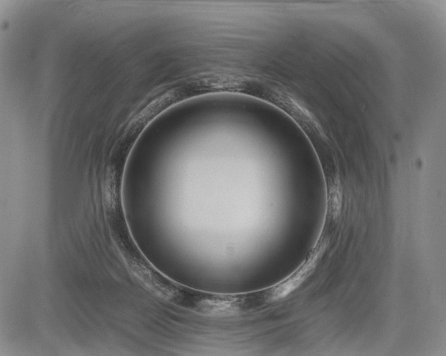 X0000085210170200703161228