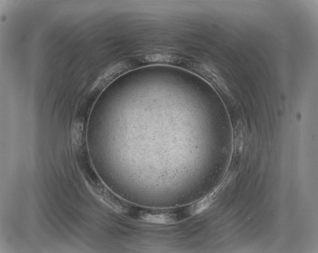 X0000085210171200703161228