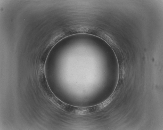 X0000085210172200703161228