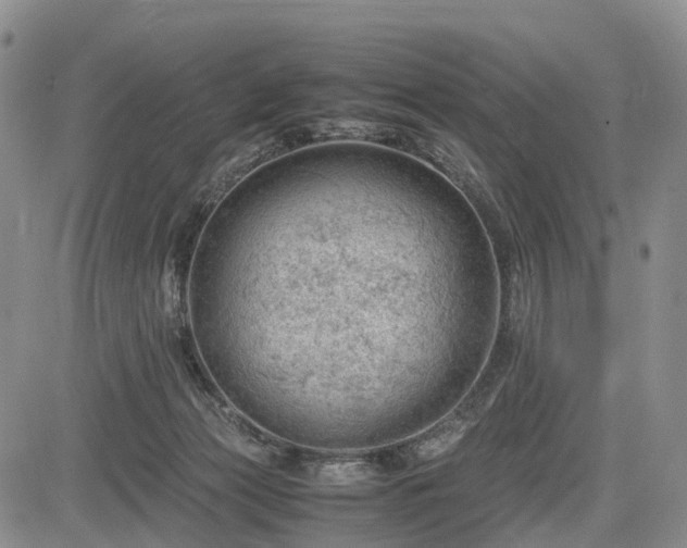 X0000085210173200703161228