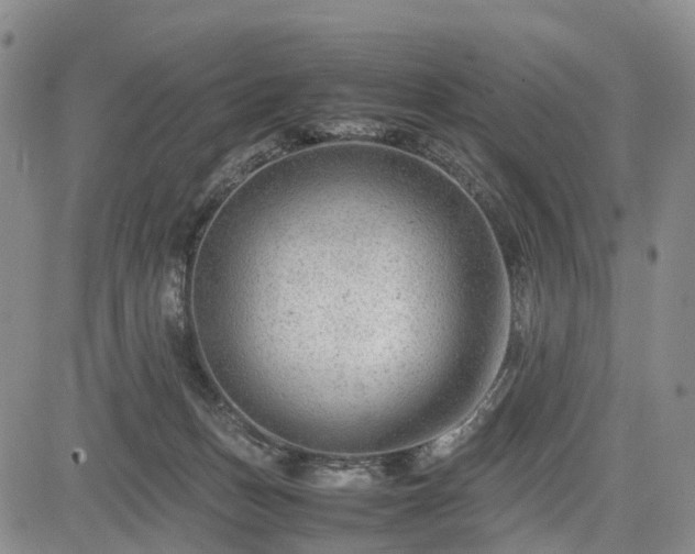 X0000085210175200703161228