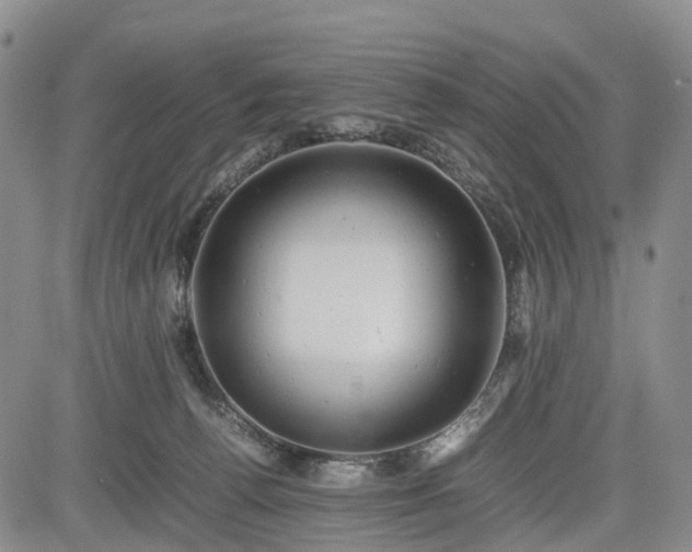 X0000085210176200703161228