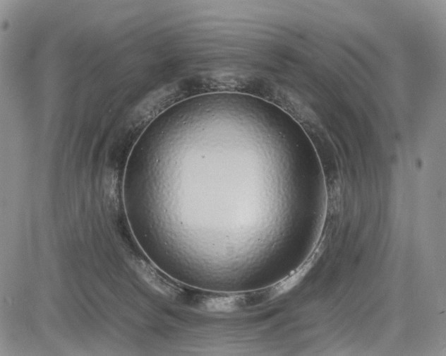 X0000085210178200703161228